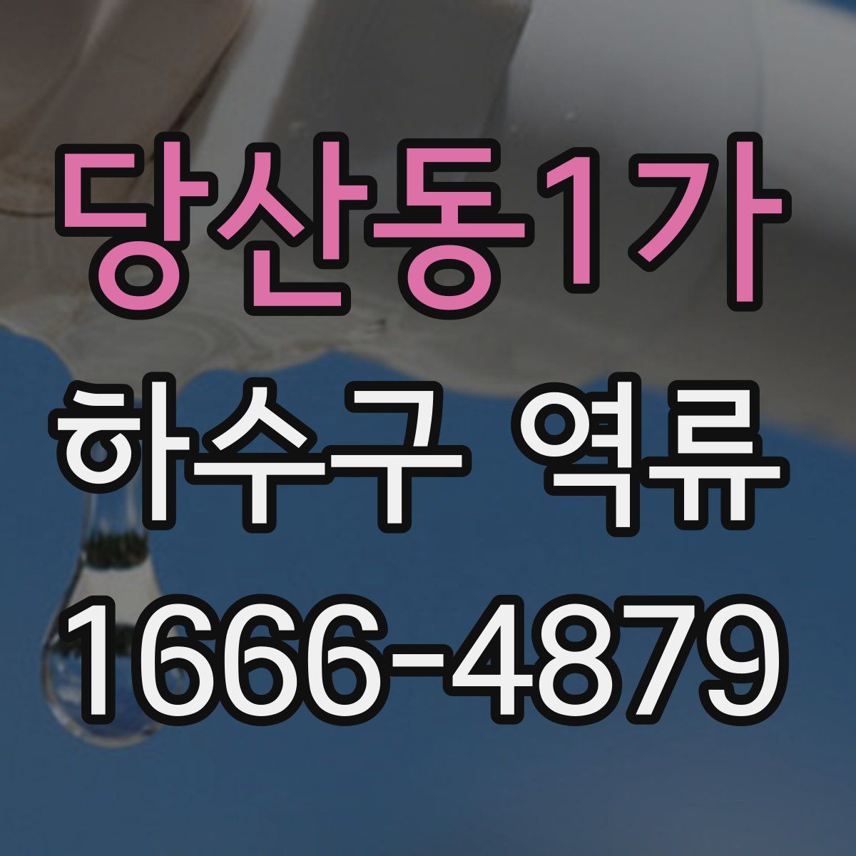 당산동1가 하수구 역류
