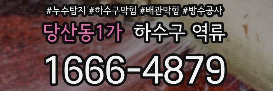 당산동1가 하수구 역류