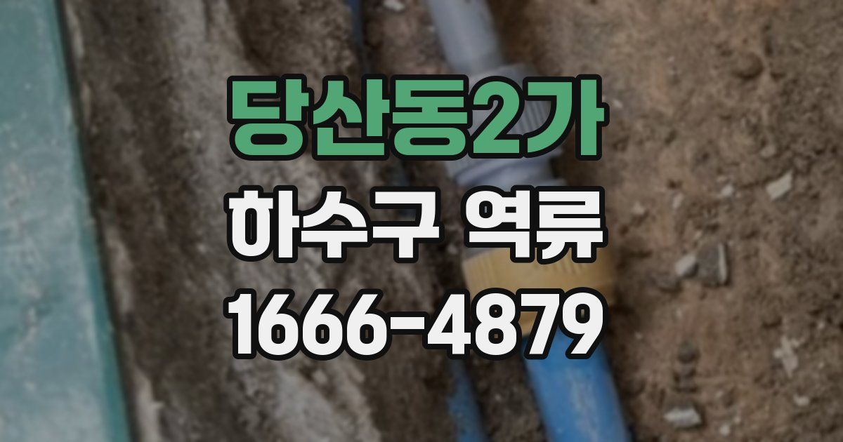 당산동2가 하수구 역류