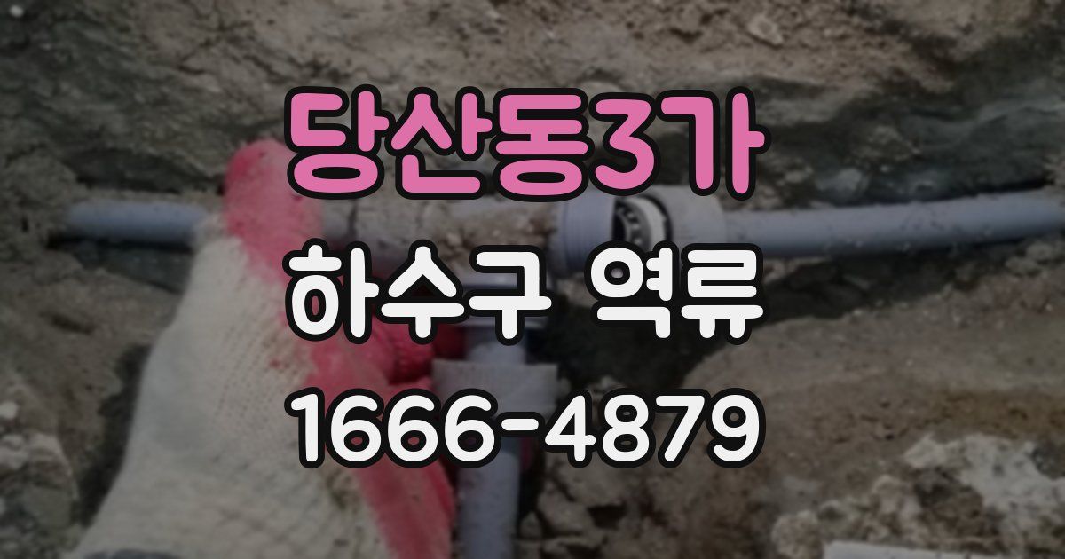 당산동3가 하수구 역류