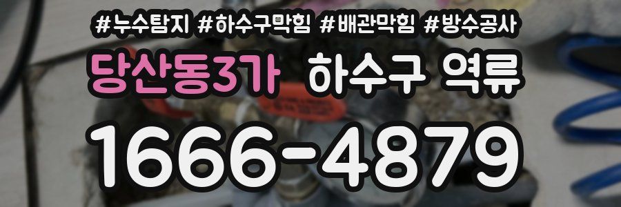 당산동3가 하수구 역류