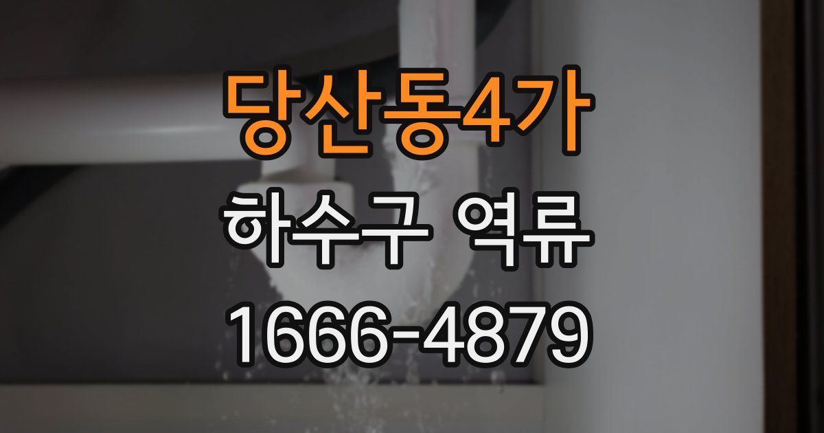 당산동4가 하수구 역류