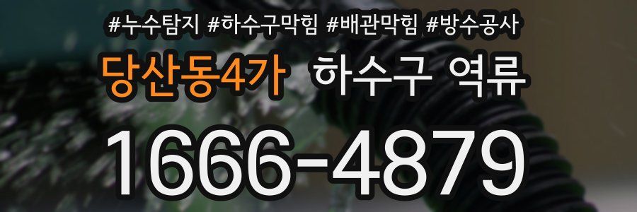 당산동4가 하수구 역류