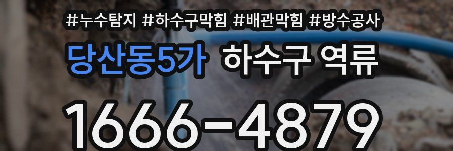 당산동5가 하수구 역류