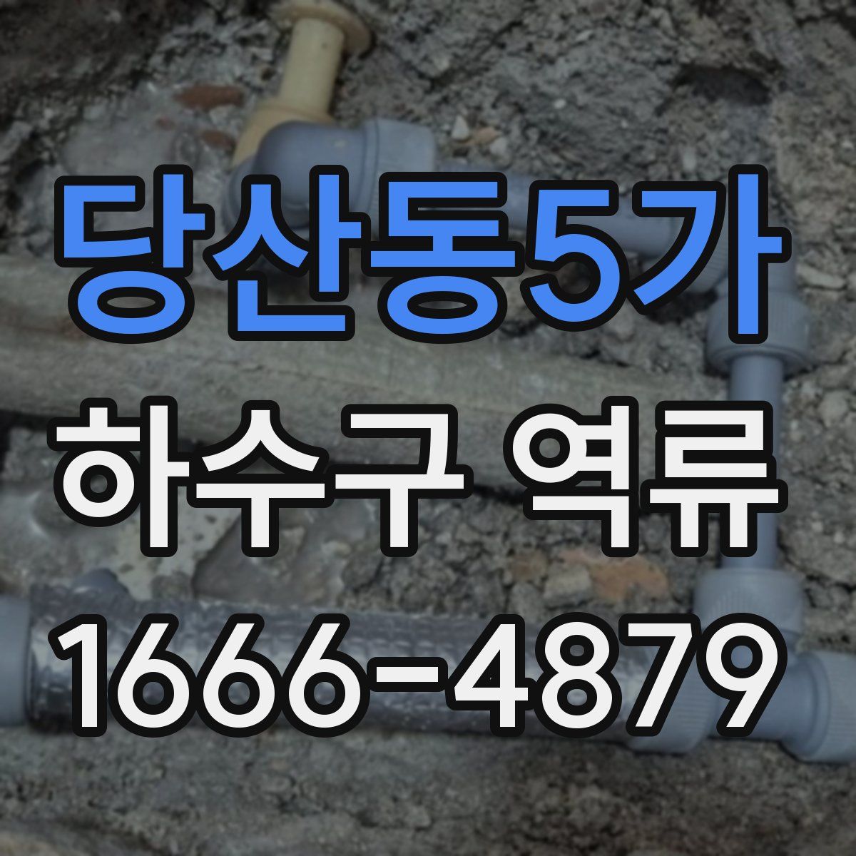 당산동5가 하수구 역류