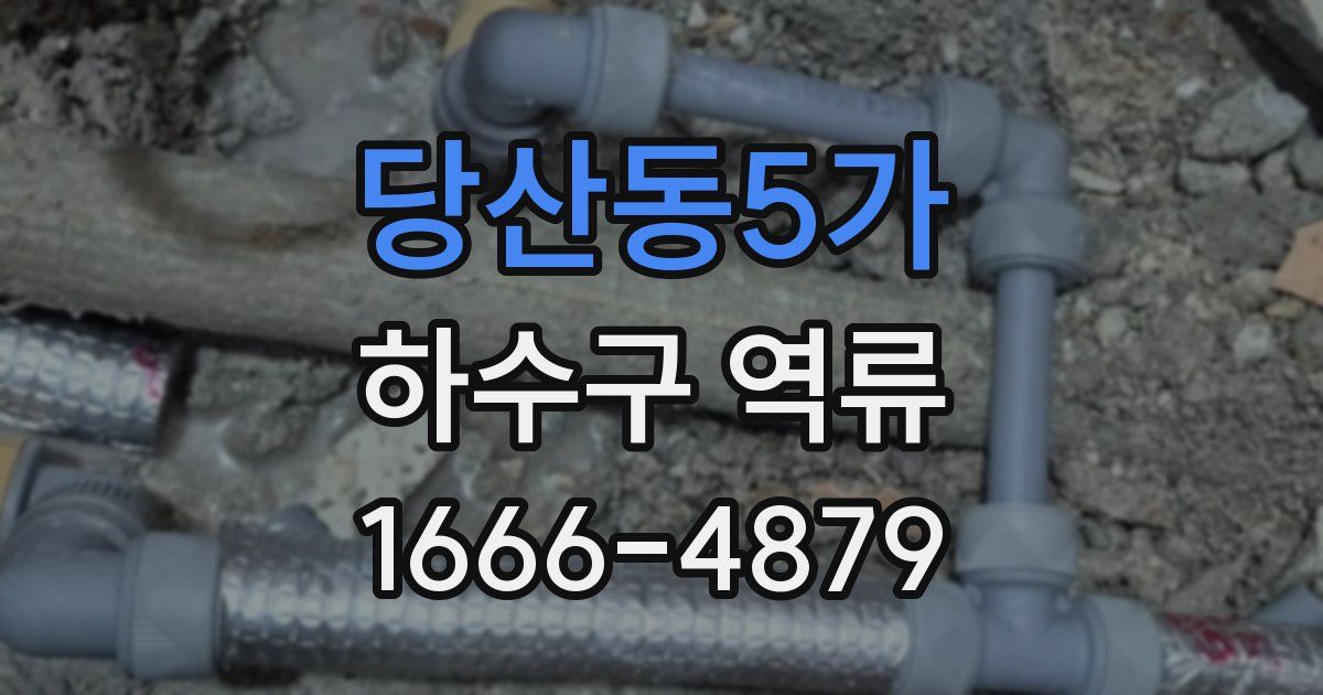 당산동5가 하수구 역류