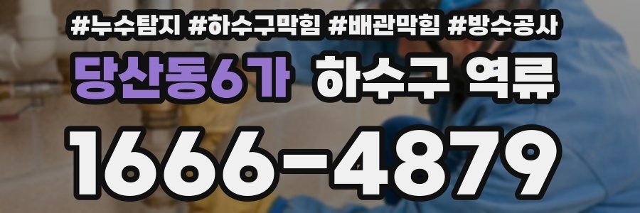 당산동6가 하수구 역류