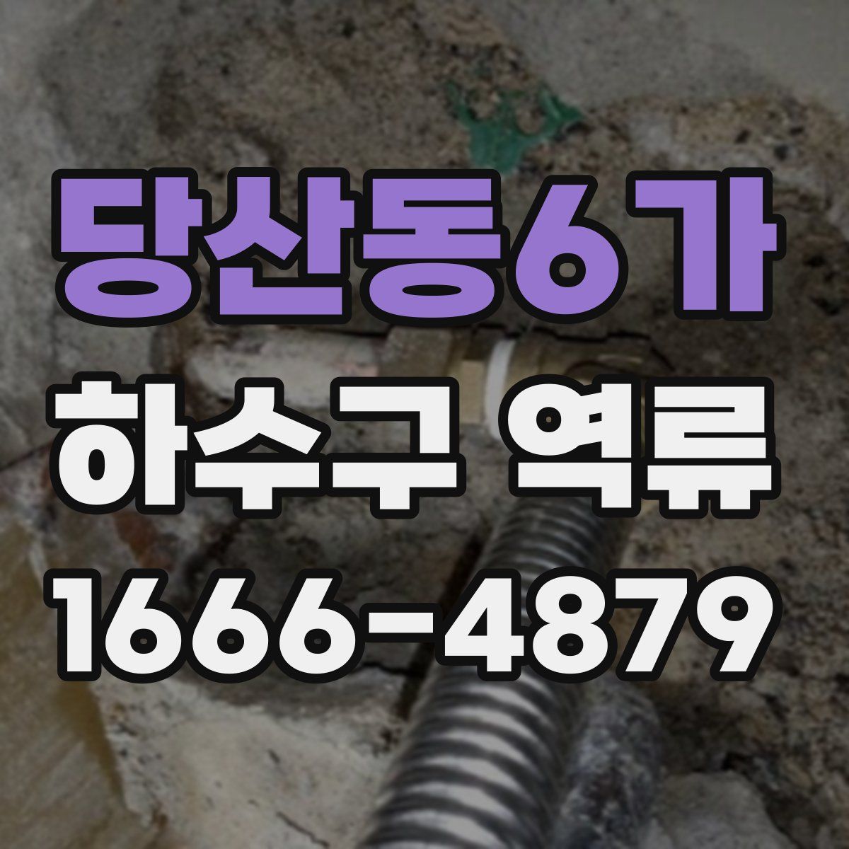 당산동6가 하수구 역류