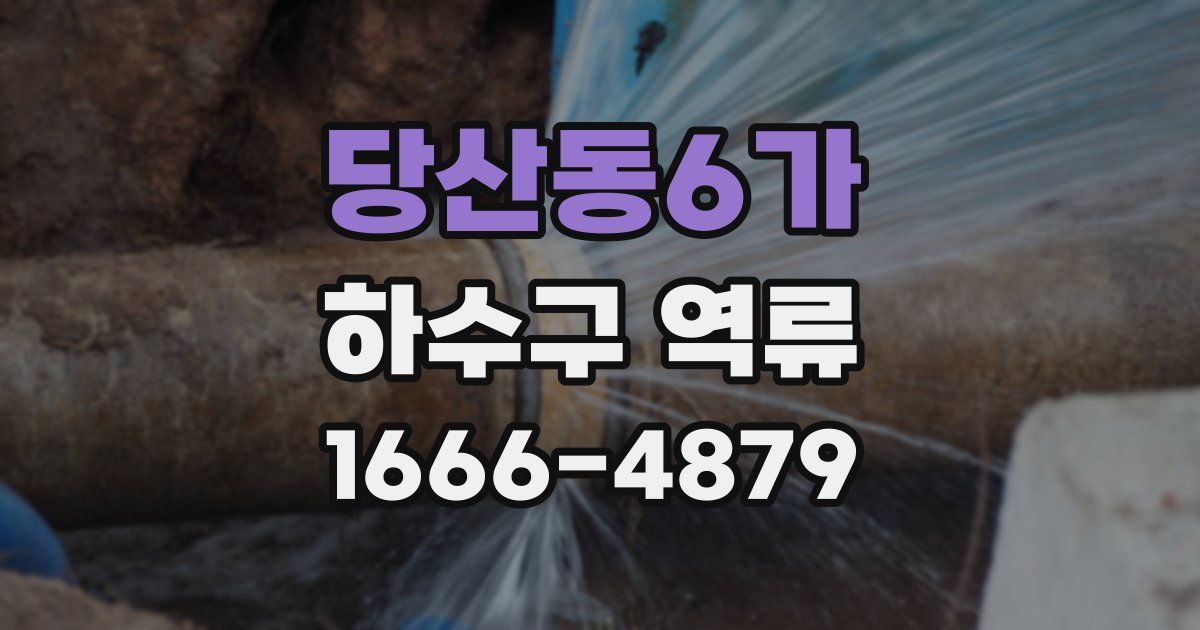 당산동6가 하수구 역류