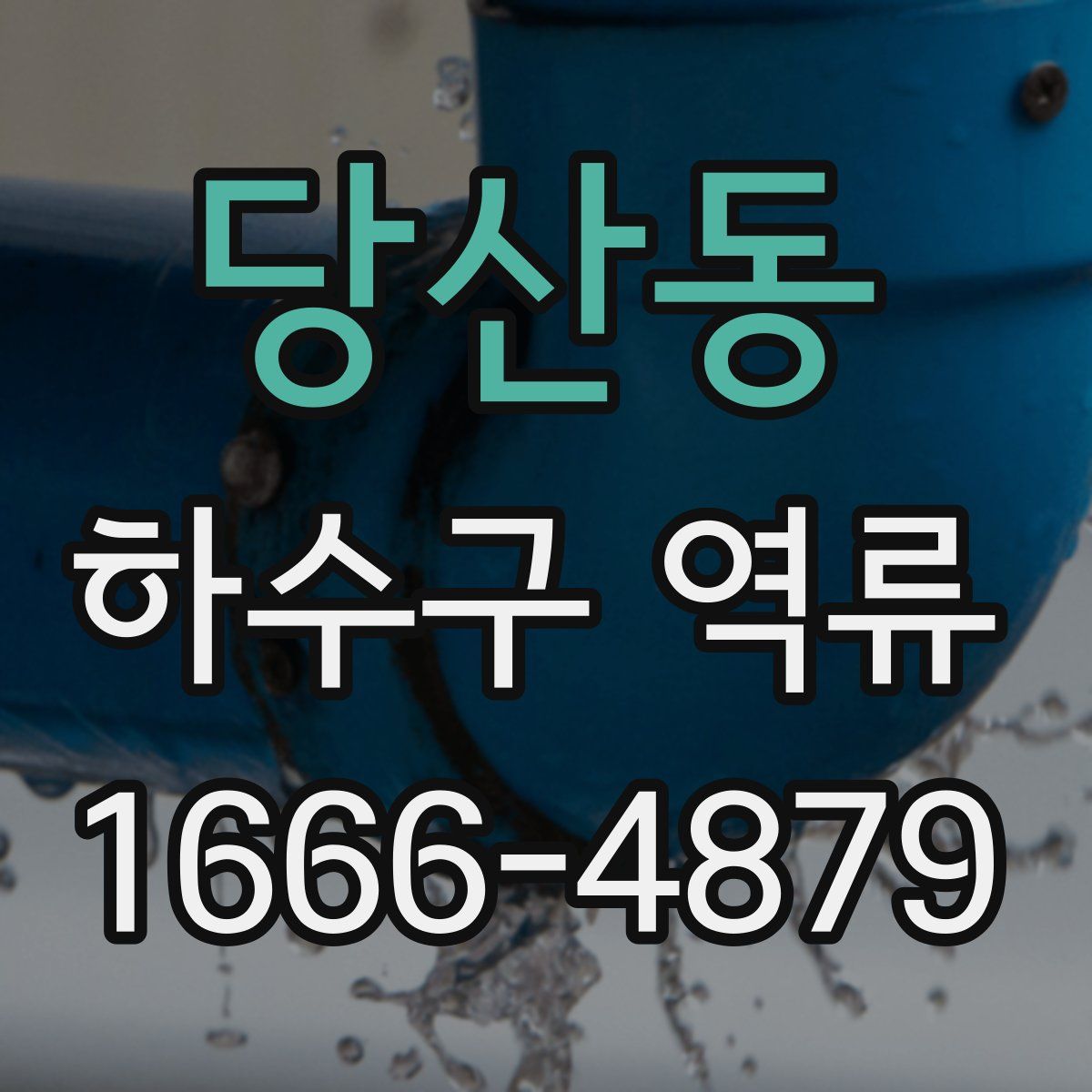 당산동 하수구 역류