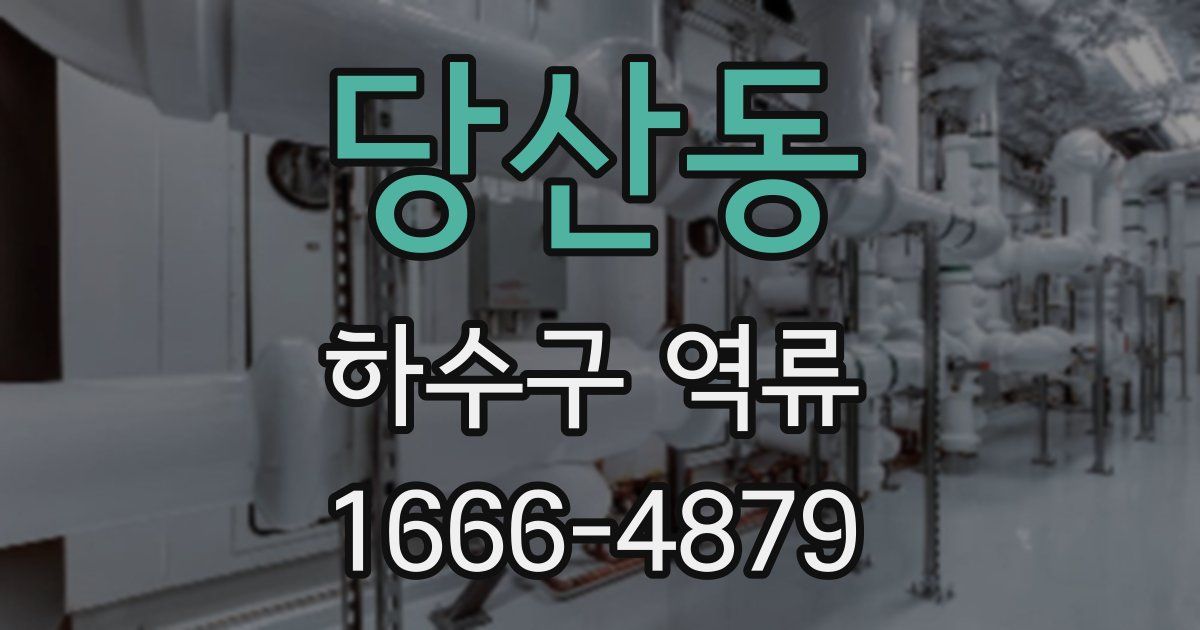 당산동 하수구 역류