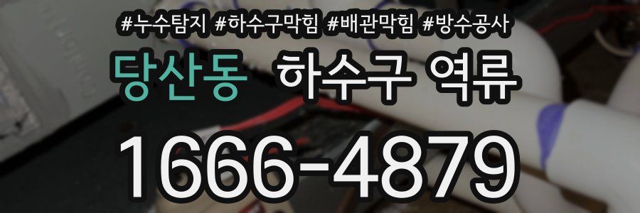 당산동 하수구 역류