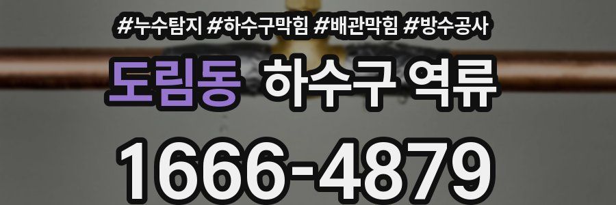 도림동 하수구 역류