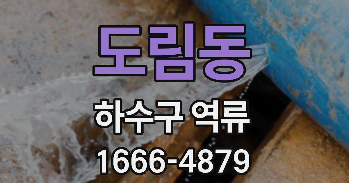 도림동 하수구 역류