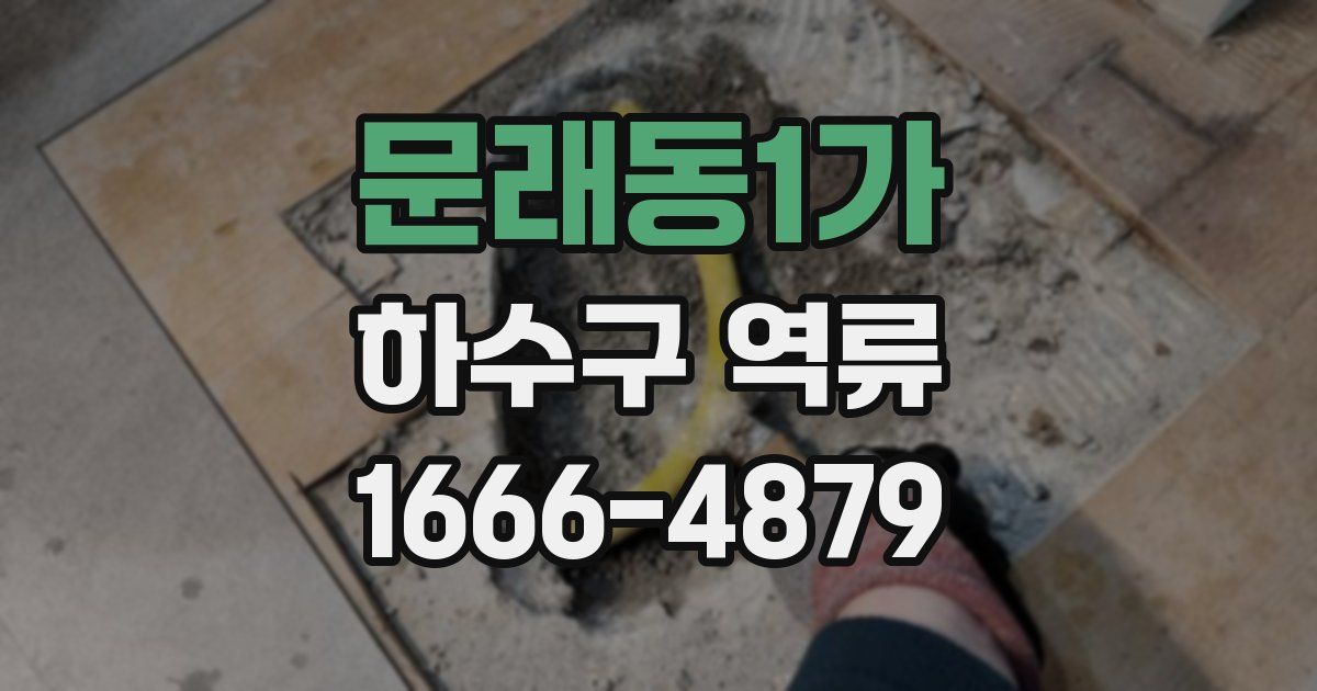 문래동1가 하수구 역류