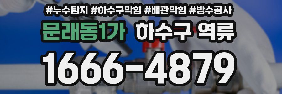 문래동1가 하수구 역류