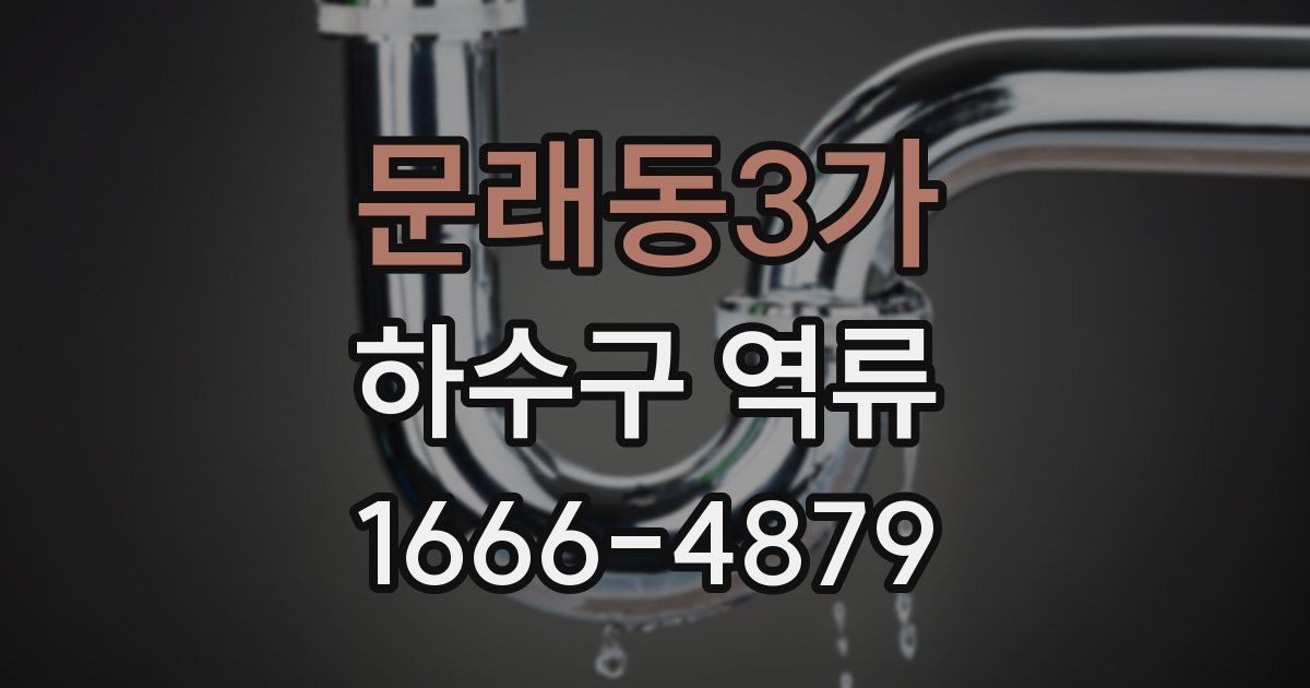 문래동3가 하수구 역류