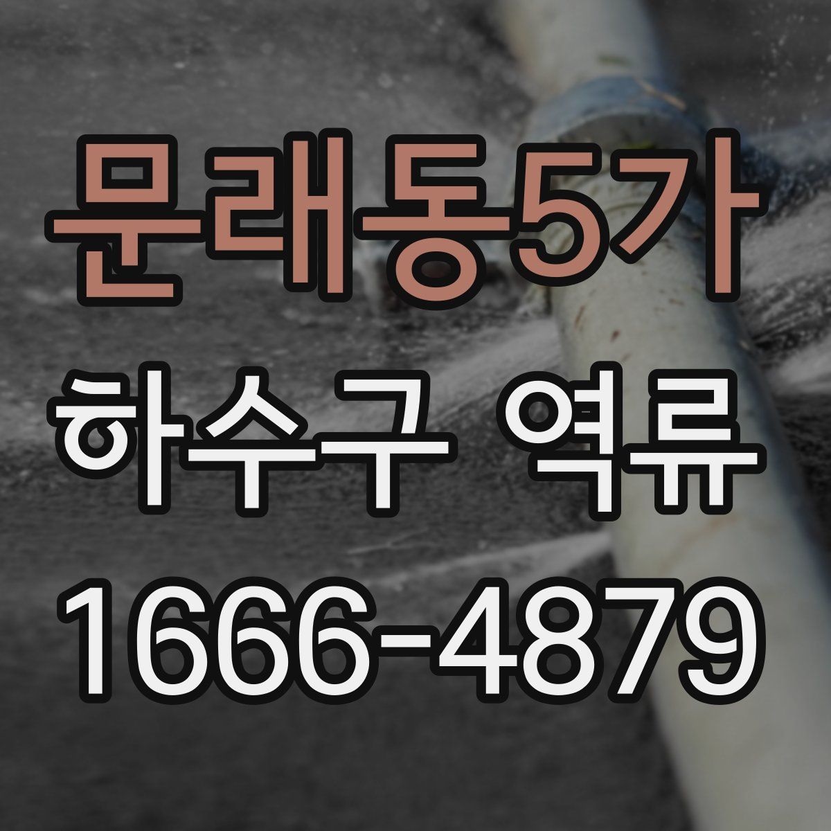 문래동5가 하수구 역류