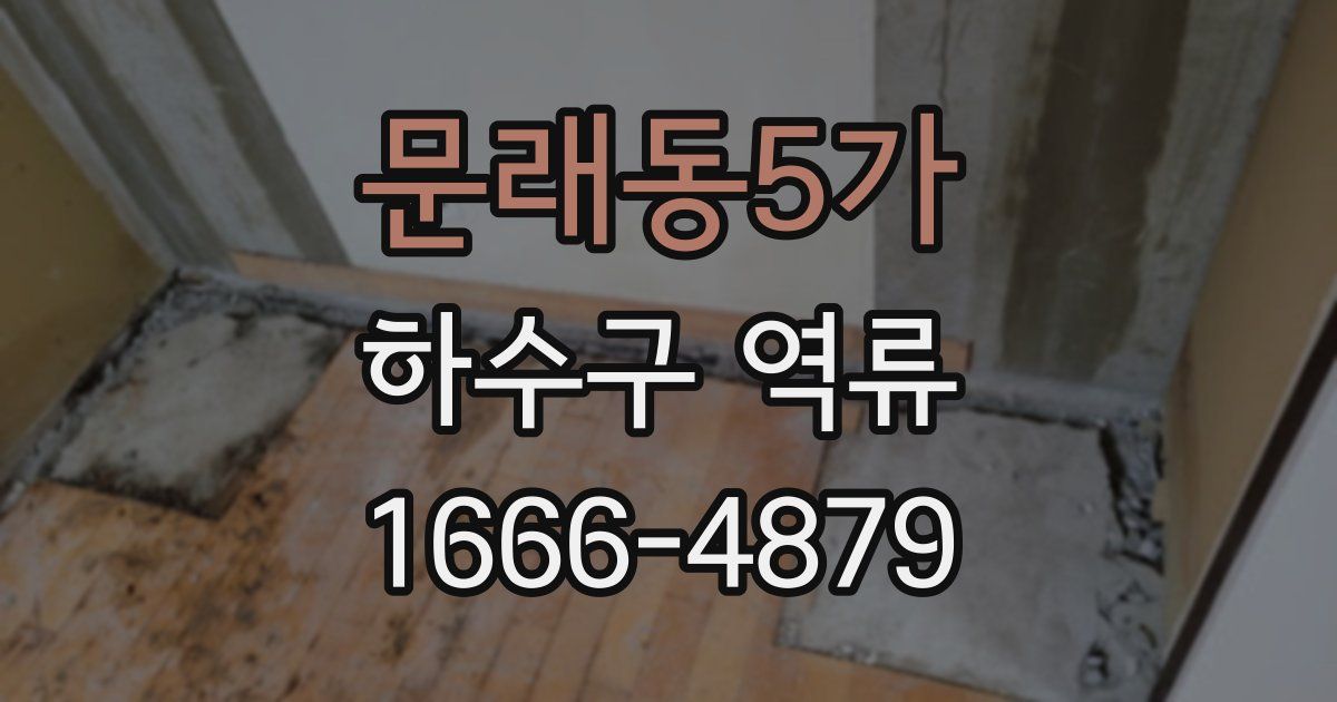 문래동5가 하수구 역류