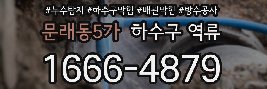 문래동5가 하수구 역류