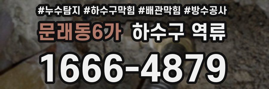 문래동6가 하수구 역류