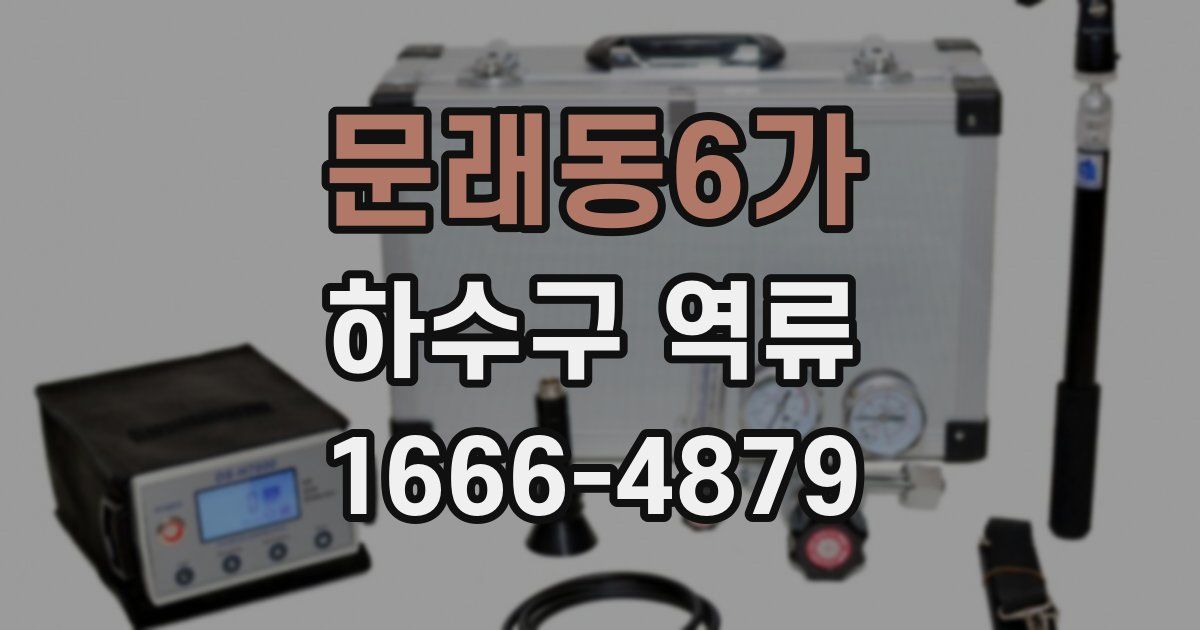 문래동6가 하수구 역류