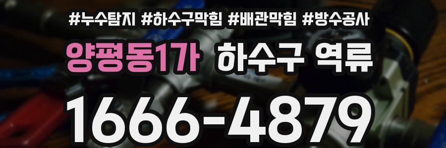 양평동1가 하수구 역류