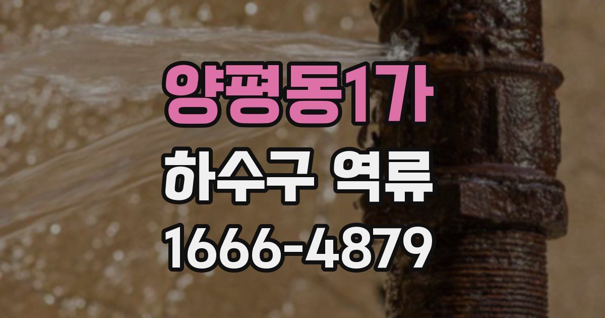 양평동1가 하수구 역류