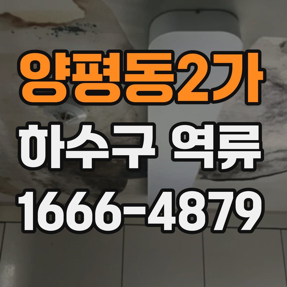 양평동2가 하수구 역류