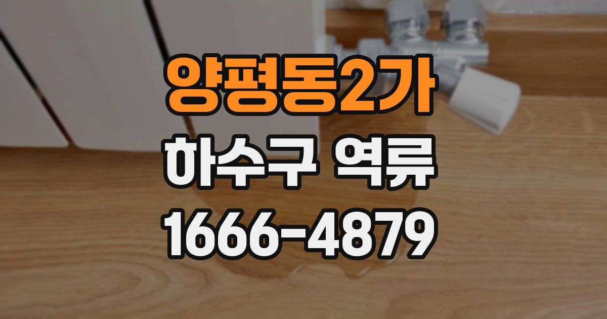 양평동2가 하수구 역류