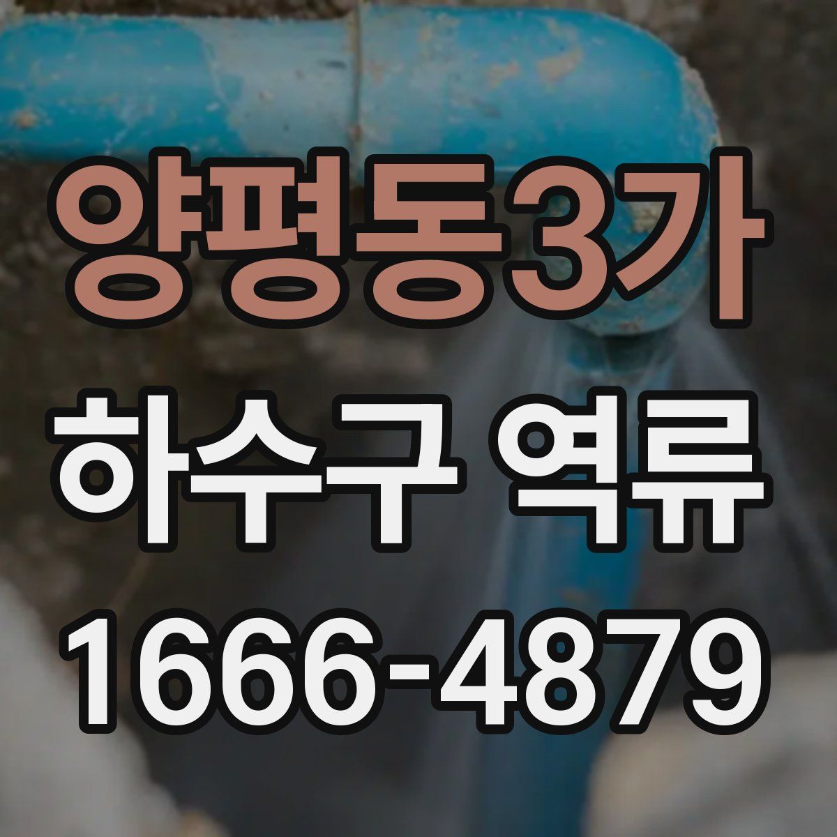 양평동3가 하수구 역류