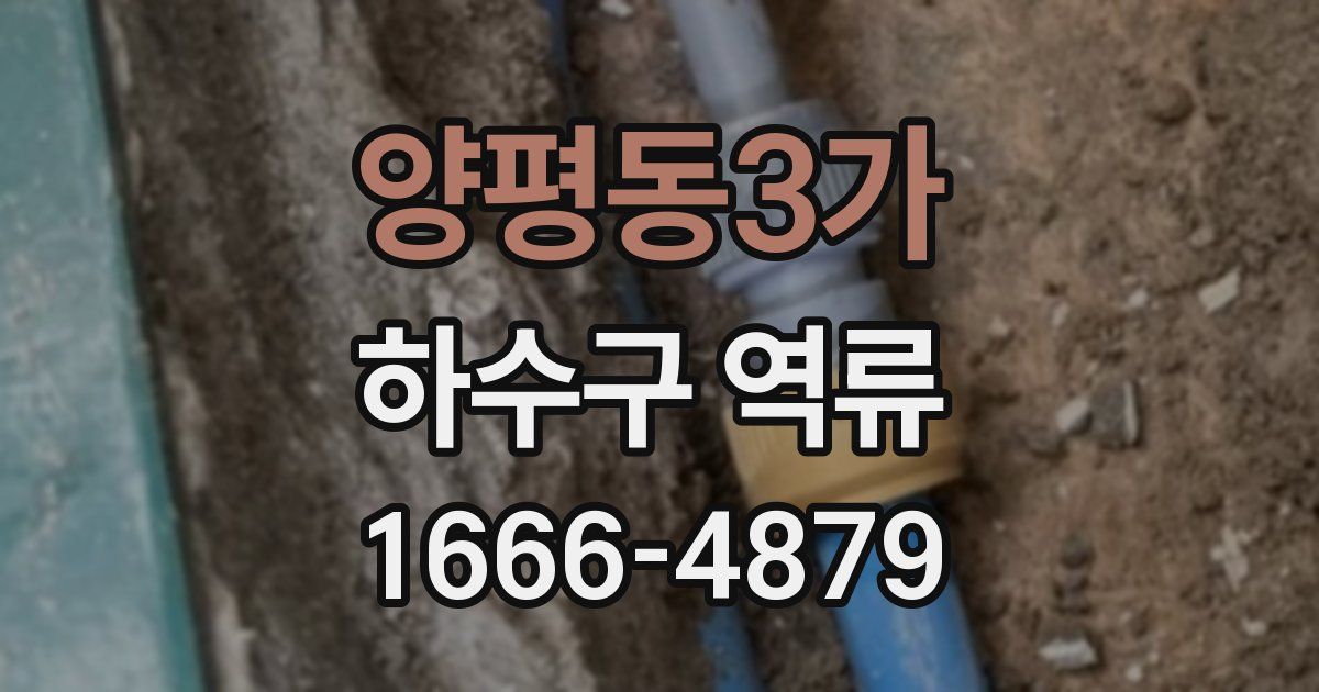 양평동3가 하수구 역류