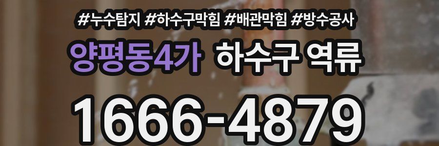 양평동4가 하수구 역류
