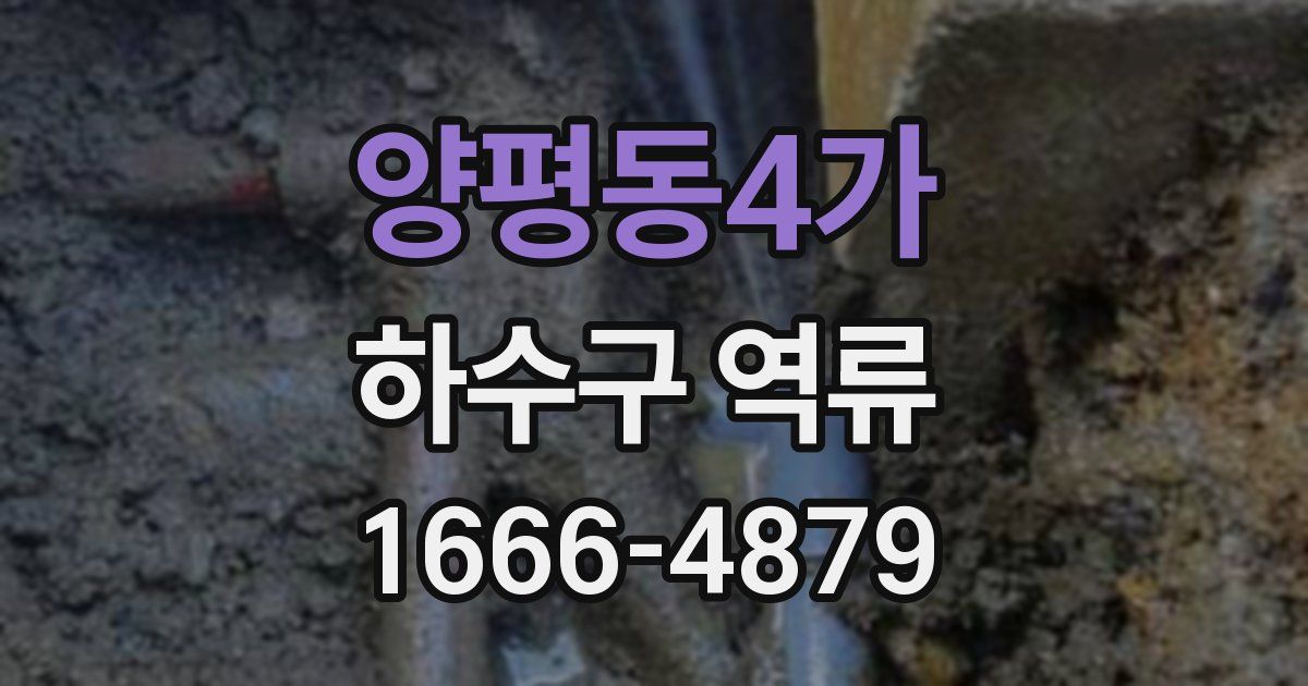 양평동4가 하수구 역류