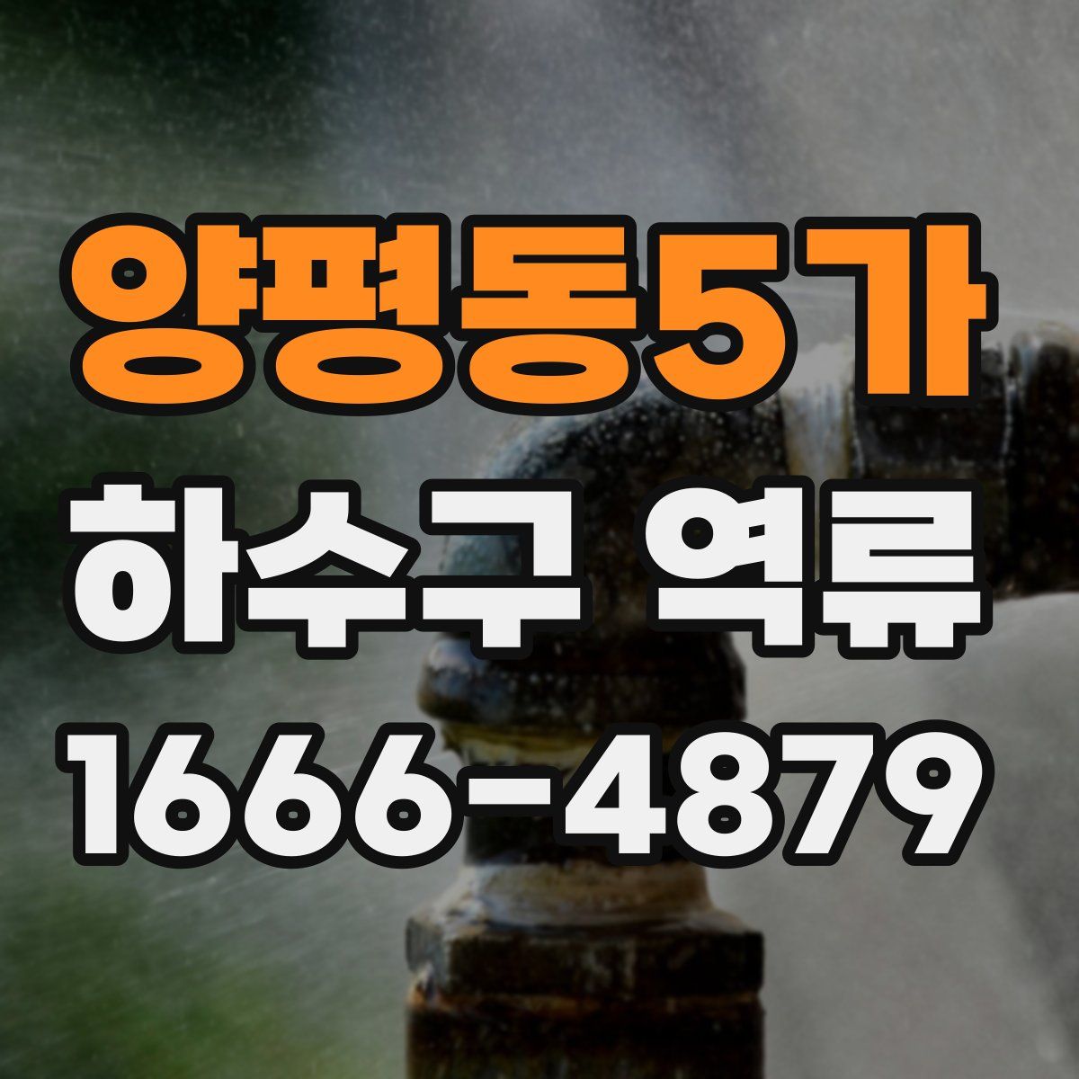 양평동5가 하수구 역류