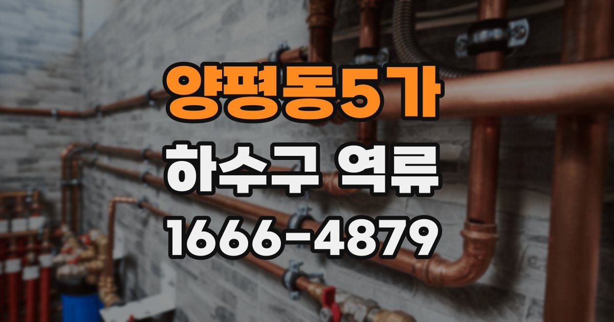 양평동5가 하수구 역류