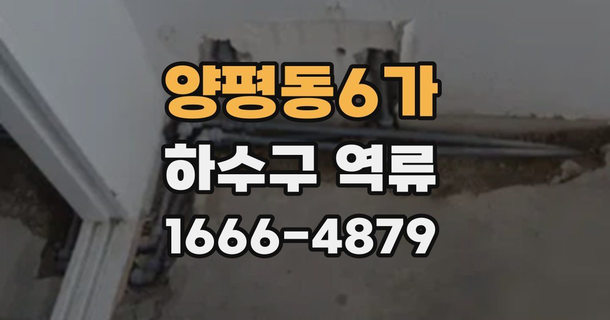 양평동6가 하수구 역류