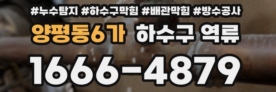 양평동6가 하수구 역류