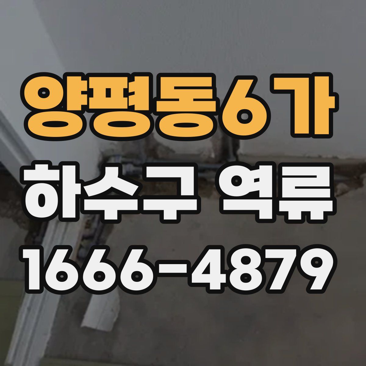 양평동6가 하수구 역류