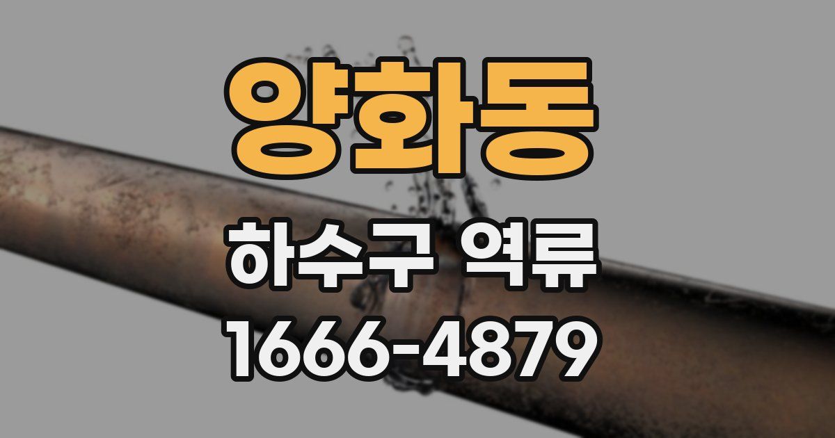 양화동 하수구 역류