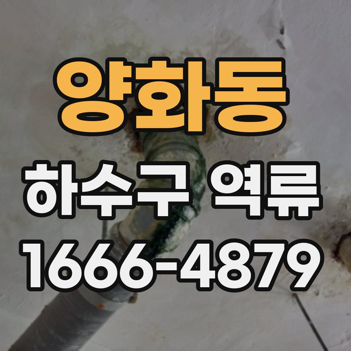 양화동 하수구 역류