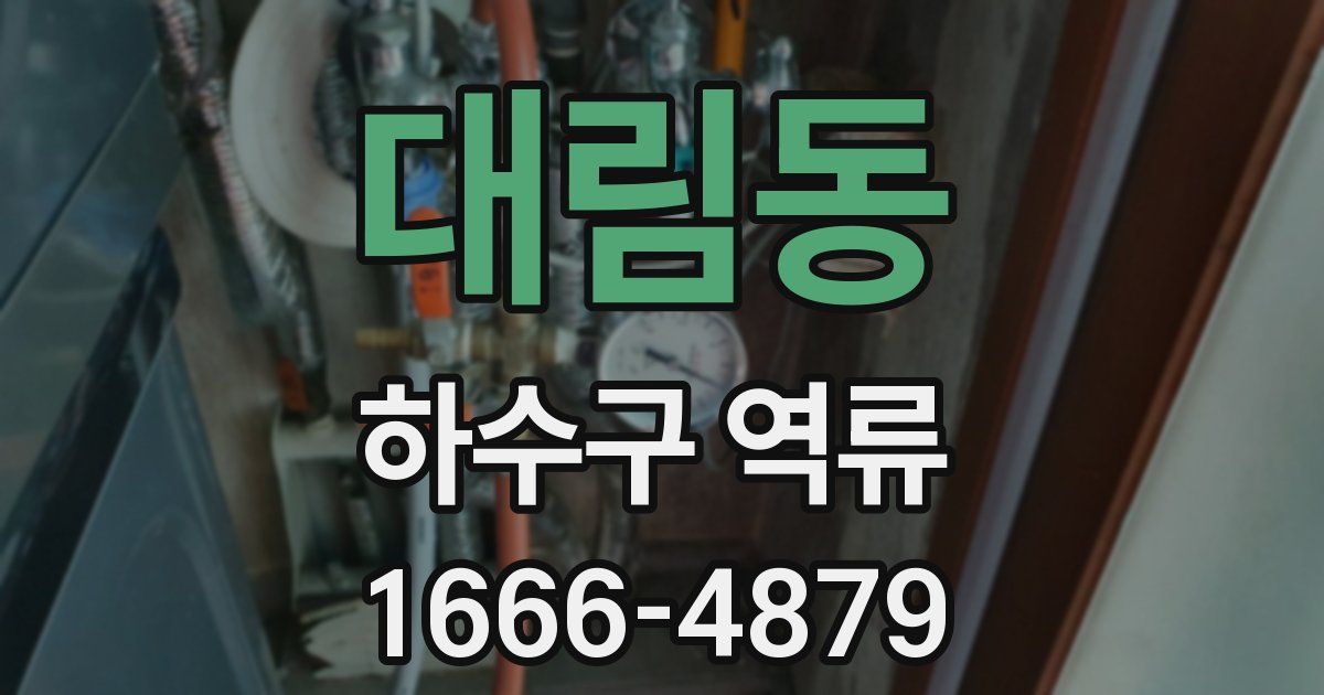 대림동 하수구 역류