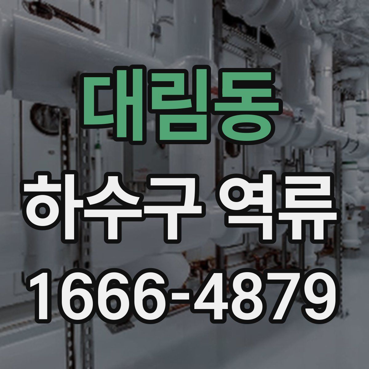 대림동 하수구 역류