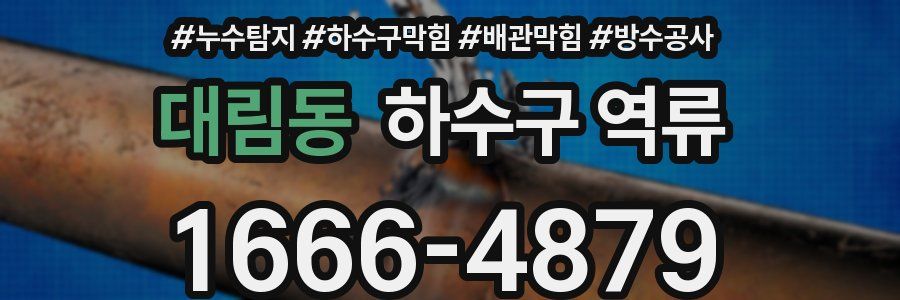 대림동 하수구 역류