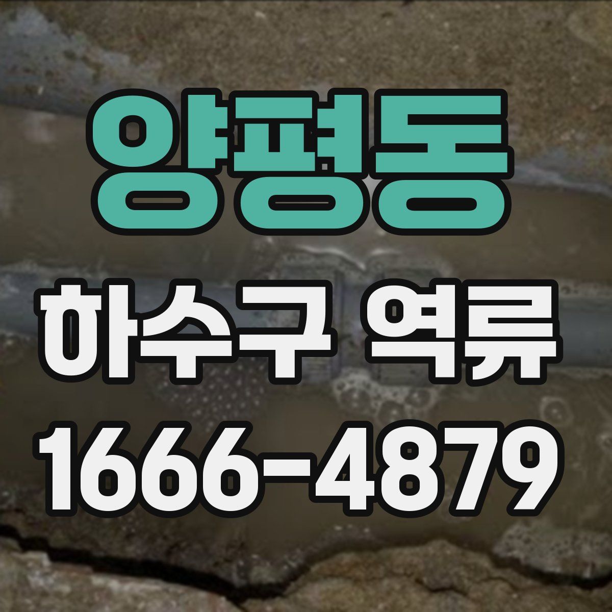 양평동 하수구 역류