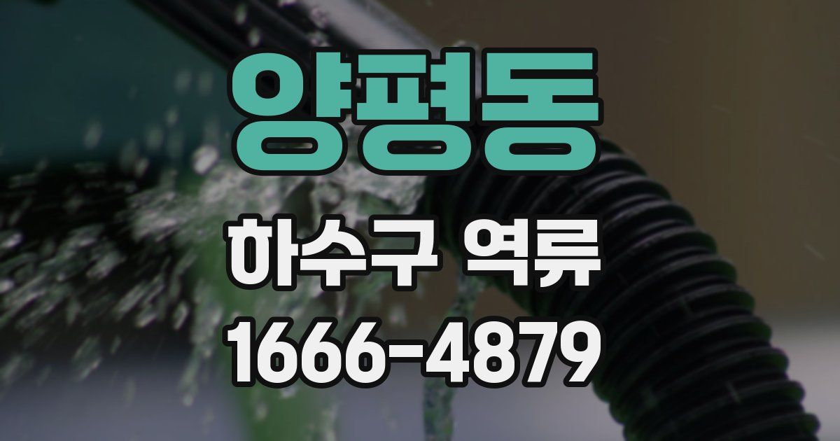 양평동 하수구 역류