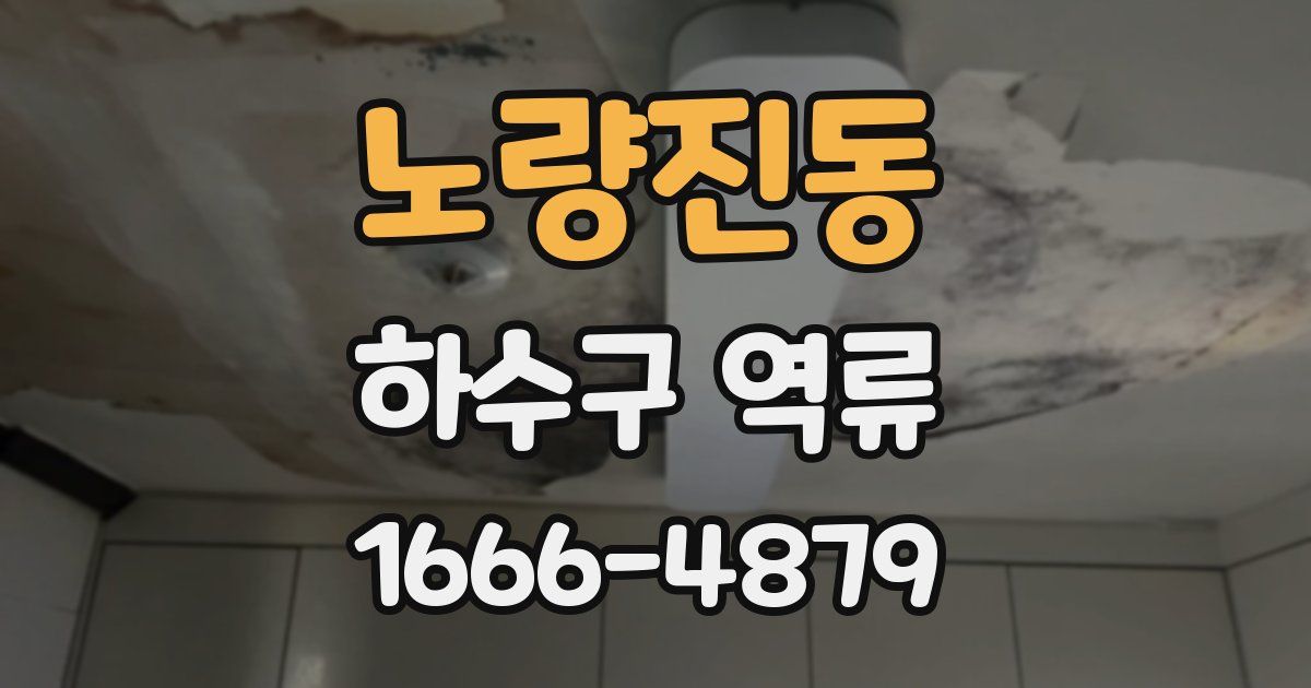 노량진동 하수구 역류