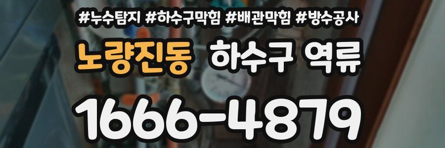 노량진동 하수구 역류