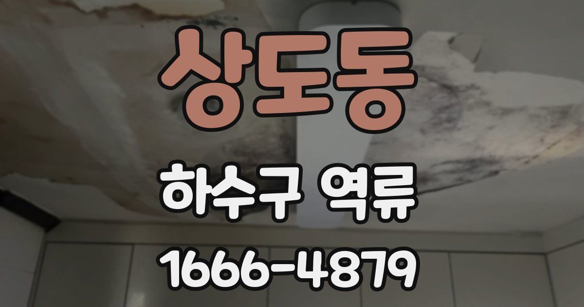 상도동 하수구 역류