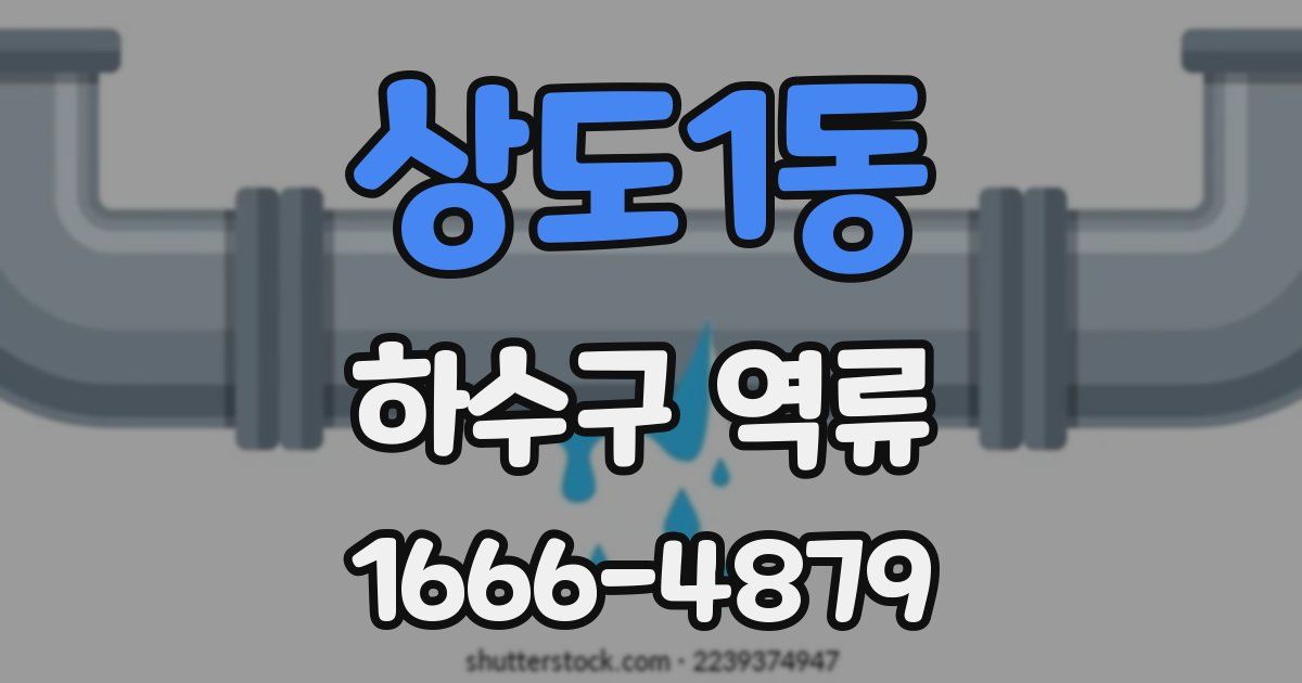 상도1동 하수구 역류